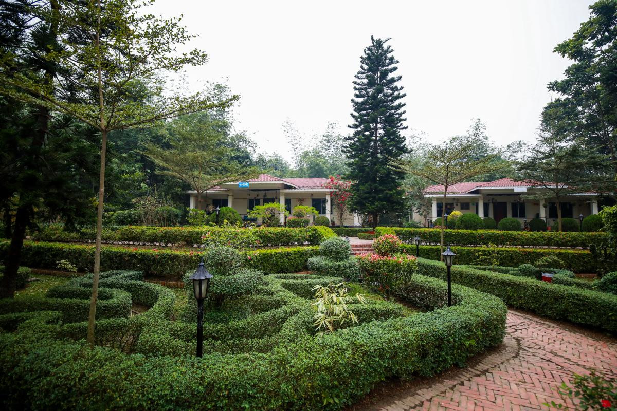 Garden